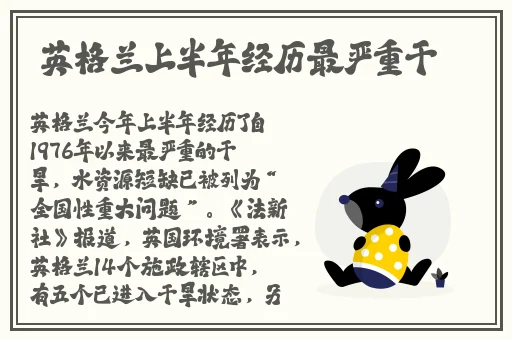 99久久精品费精品国产